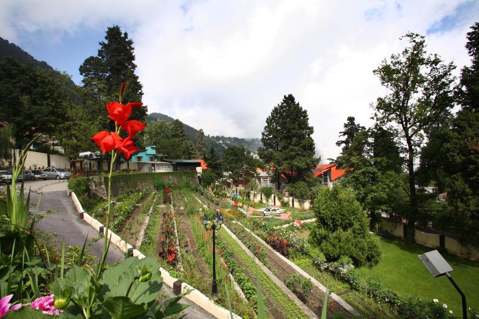 Shervani Hilltop Resort Nainital Exterior foto